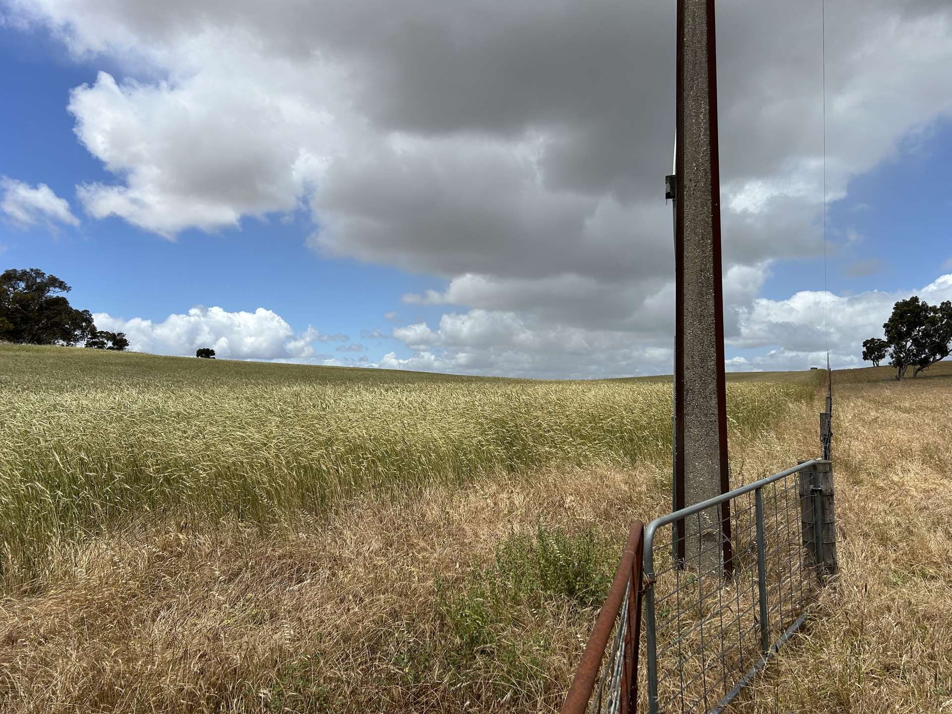 Lot 189 And 323 Roy Lawries Road, Lochaber For Sale by Farmbuy.com - image 15