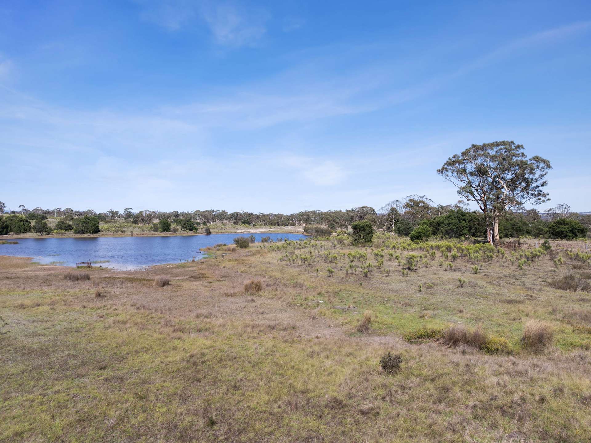 323 Duckfield Rd, Boro For Sale by Farmbuy.com - image 17