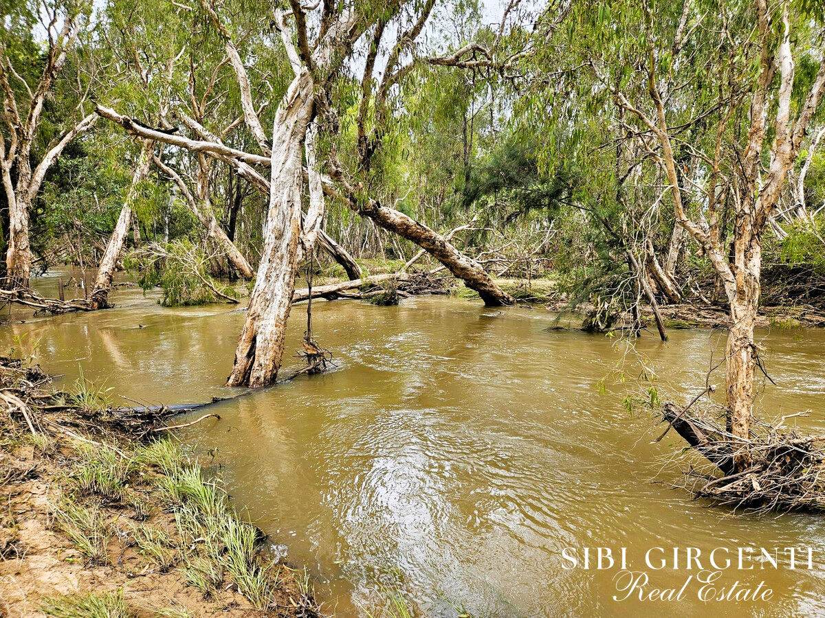 994 Leafgold Weir Road, Dimbulah For Sale by Farmbuy.com - image 34
