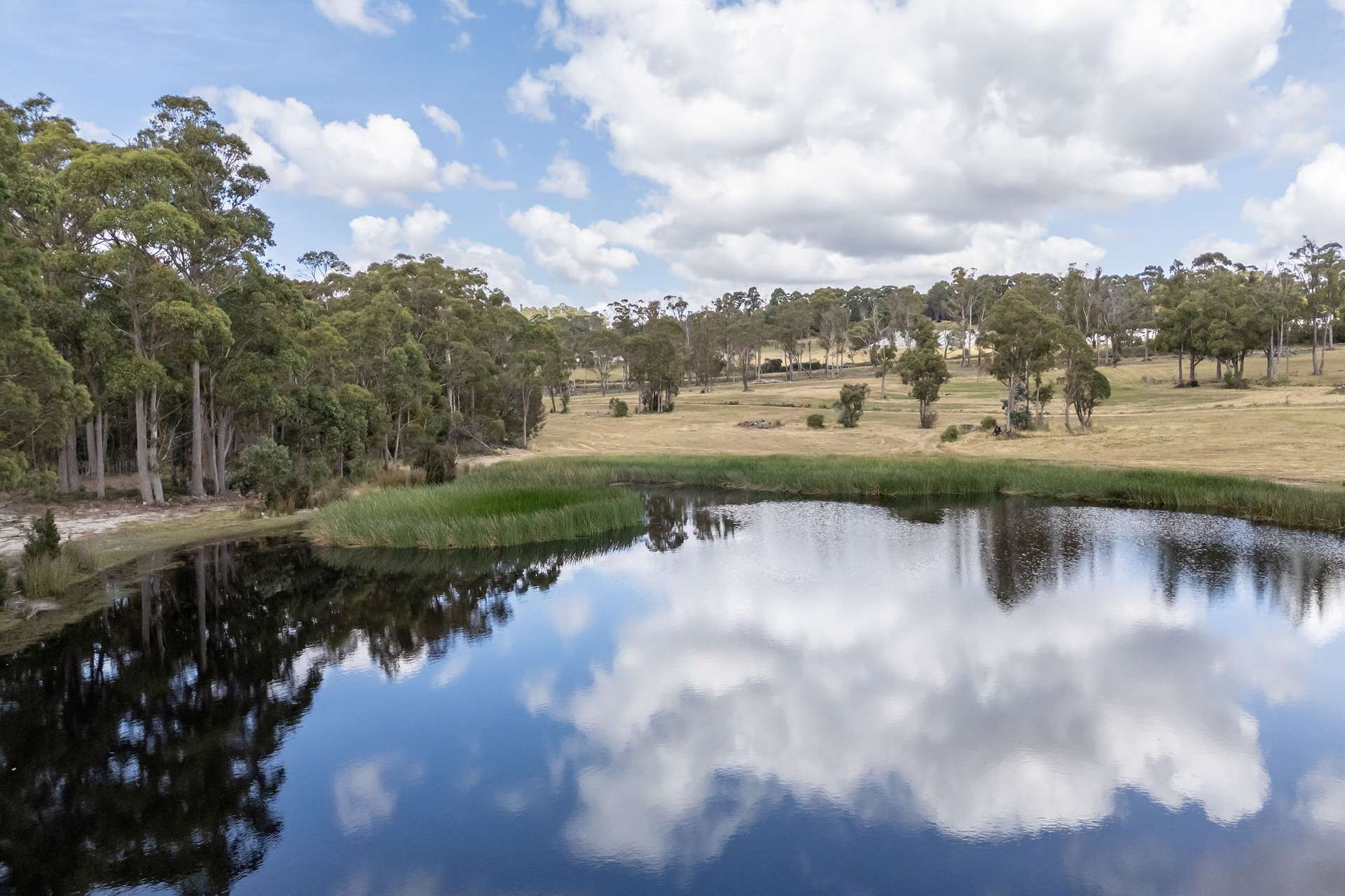124 Glengarry Drive, Glengarry For Sale by Farmbuy.com - image 23