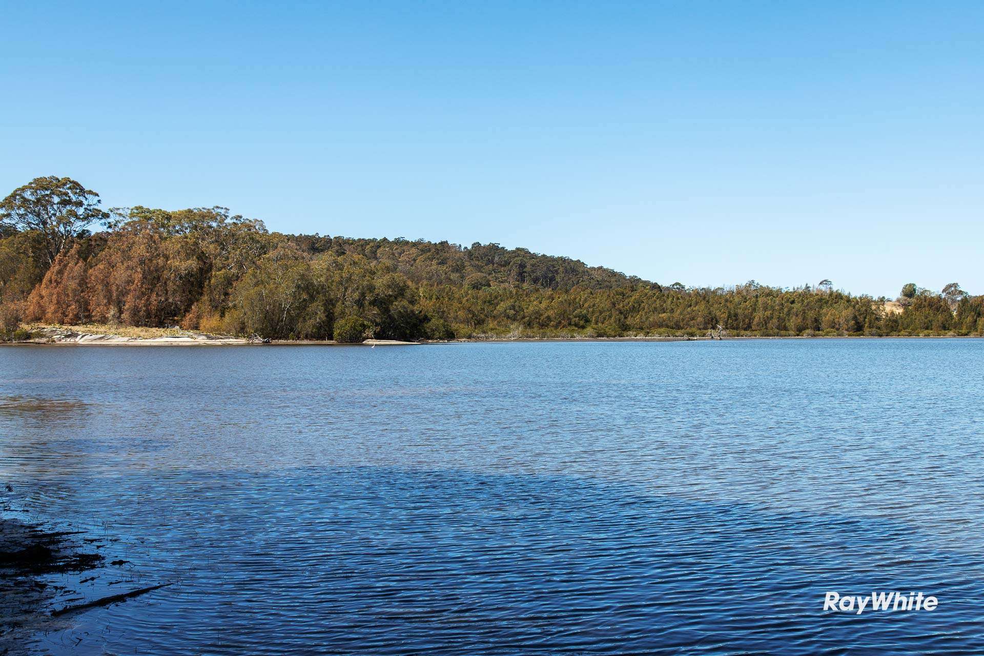 Moruya For Sale by Farmbuy.com - image 4