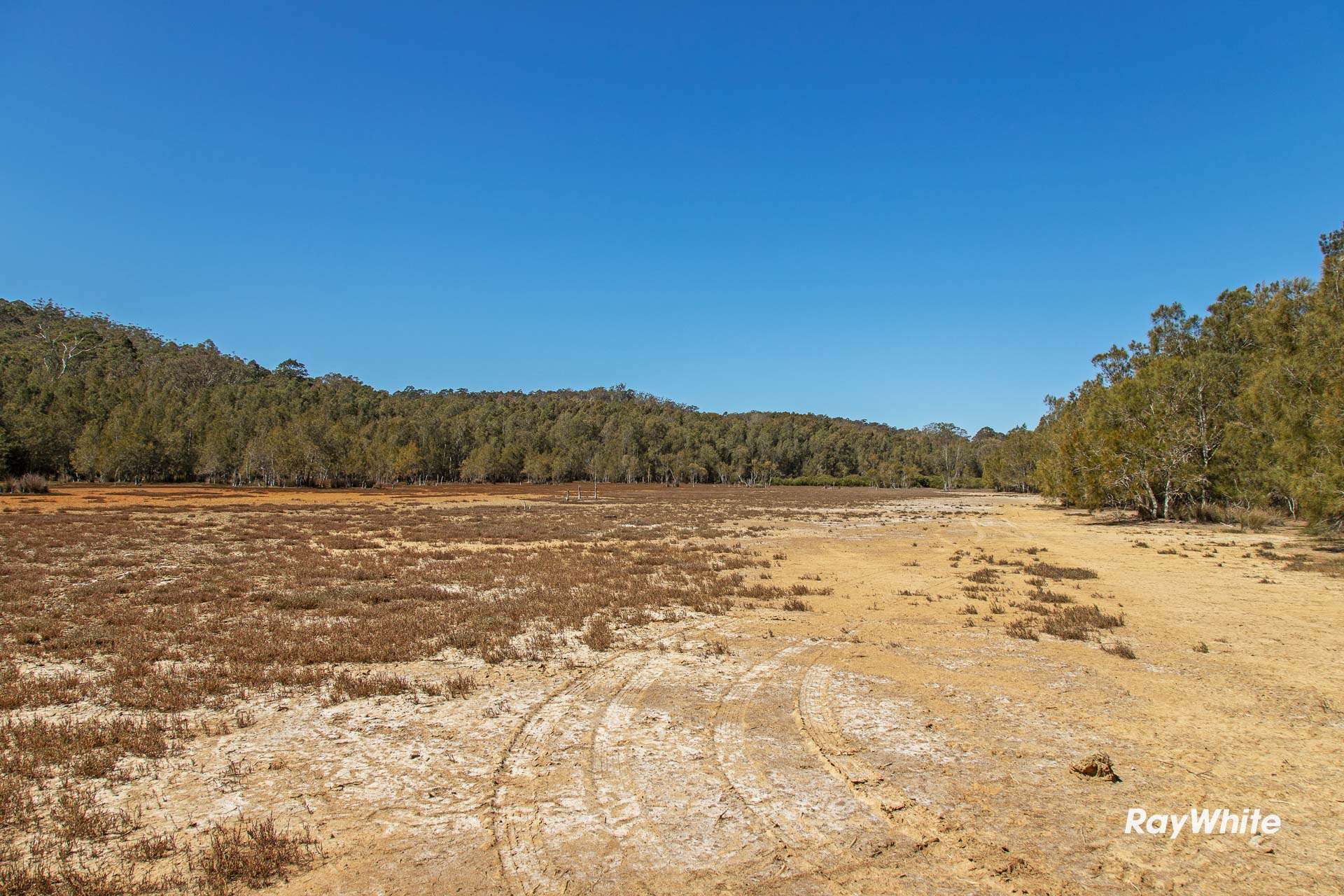 Moruya For Sale by Farmbuy.com - image 11