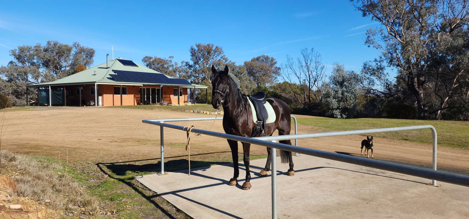 13407 Hume Highway, Woomargama For Sale by Farmbuy.com - image 7