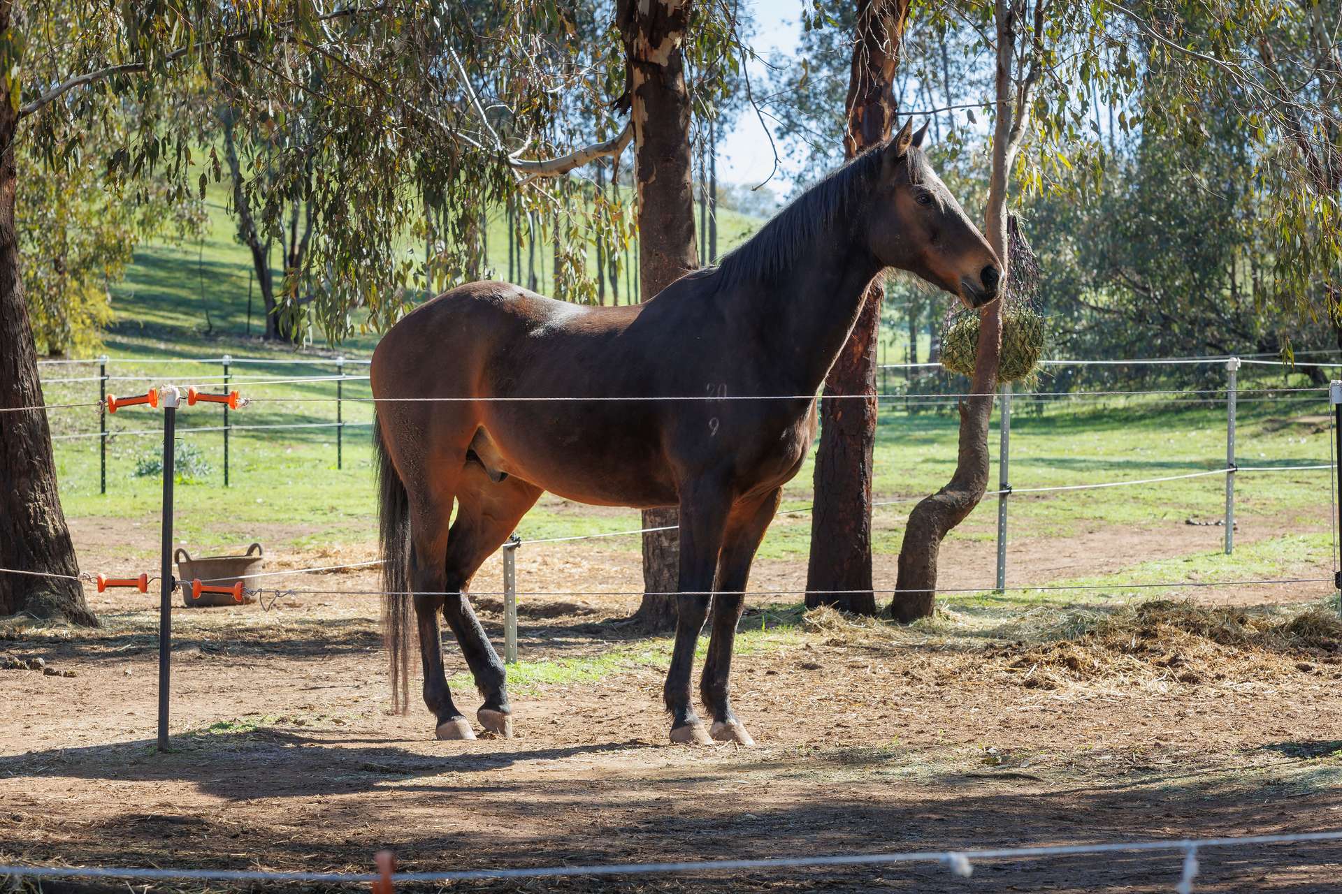 13407 Hume Highway, Woomargama For Sale by Farmbuy.com - image 24
