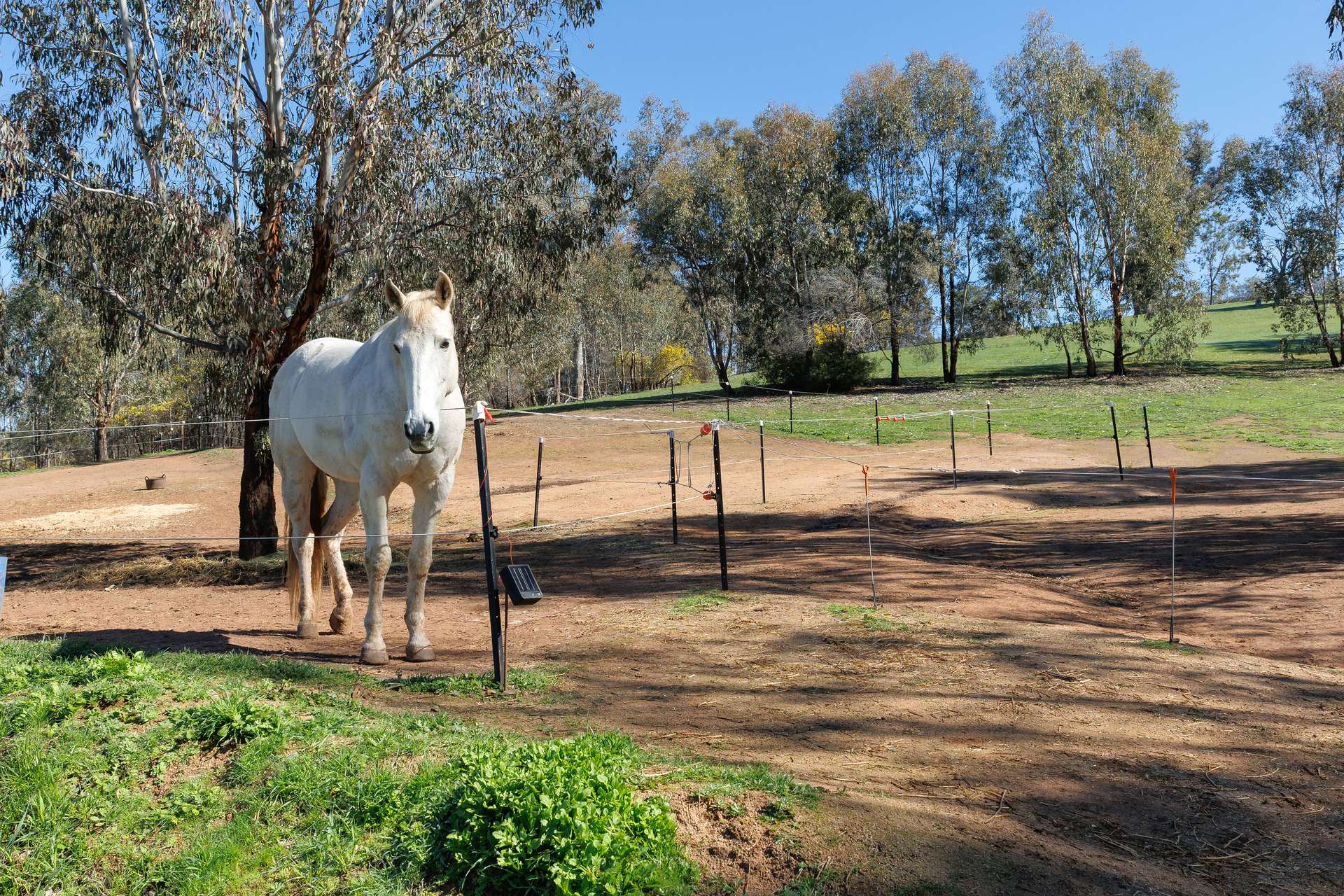 13407 Hume Highway, Woomargama For Sale by Farmbuy.com - image 23
