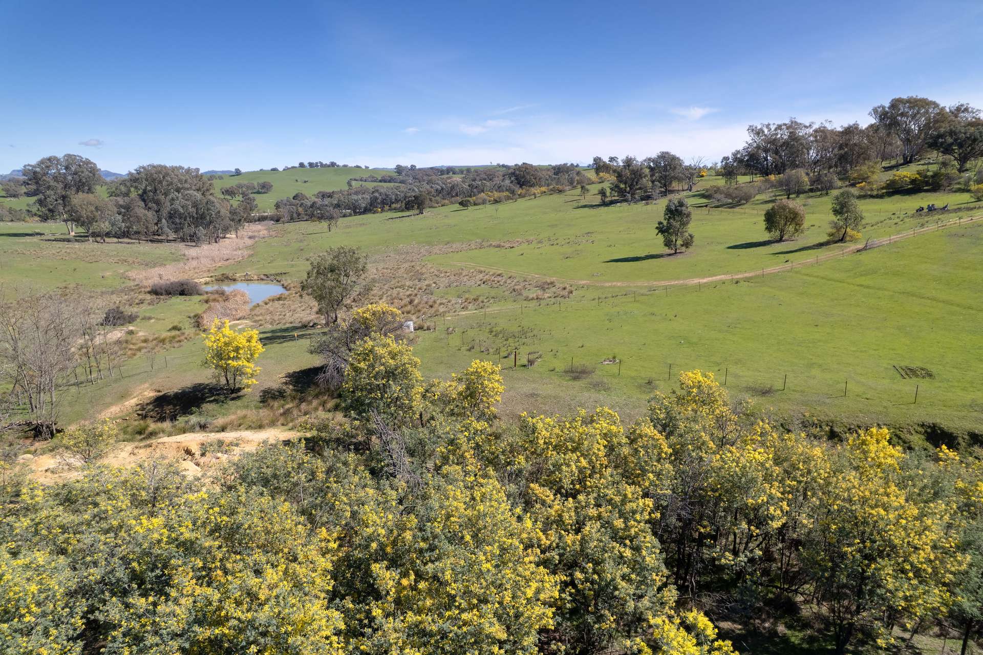 13407 Hume Highway, Woomargama For Sale by Farmbuy.com - image 28