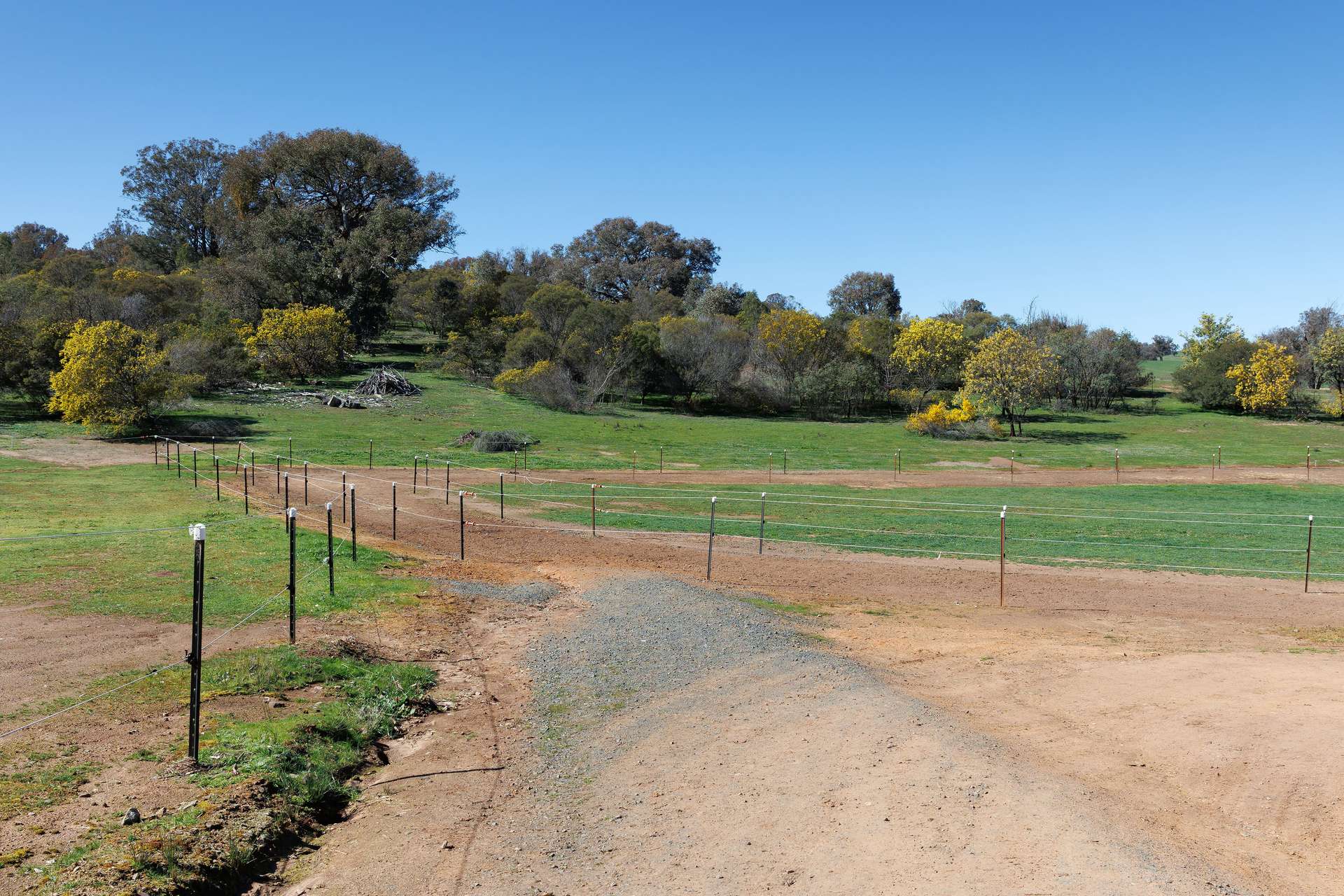 13407 Hume Highway, Woomargama For Sale by Farmbuy.com - image 17