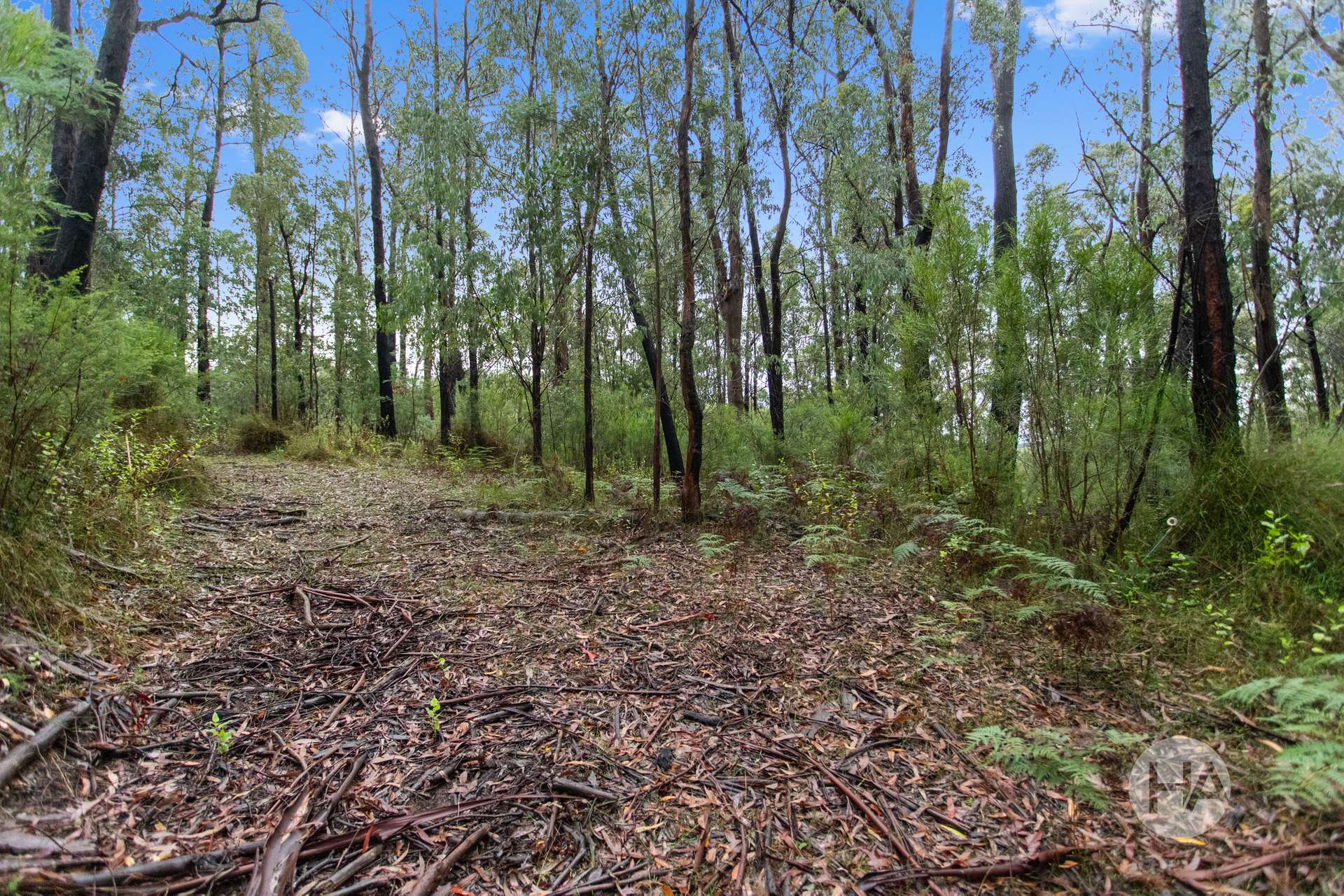 Lot 10, 4 Old Coach Road, Walhalla For Sale by Farmbuy.com - image 2