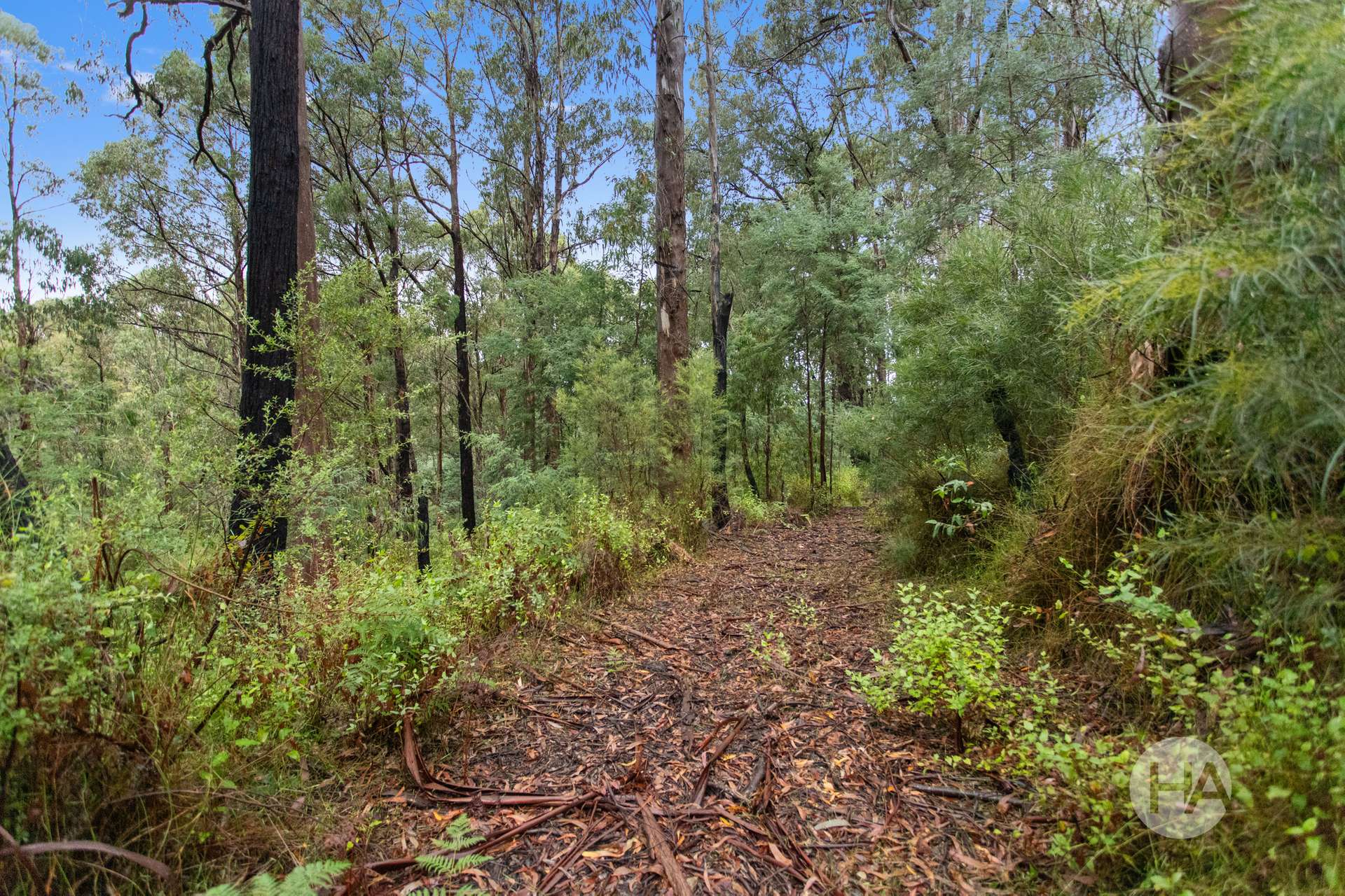 Lot 10, 4 Old Coach Road, Walhalla For Sale by Farmbuy.com - image 3