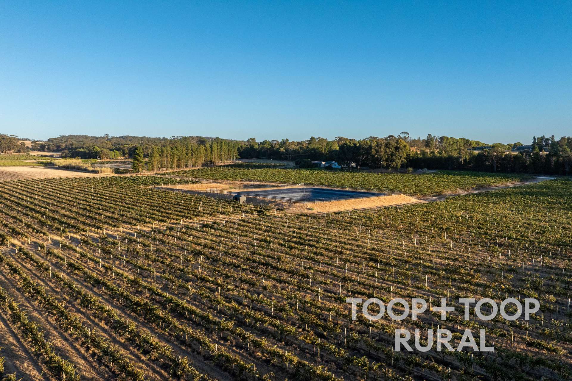 233 Pine Drive, Nuriootpa Sold by Farmbuy.com - image 22