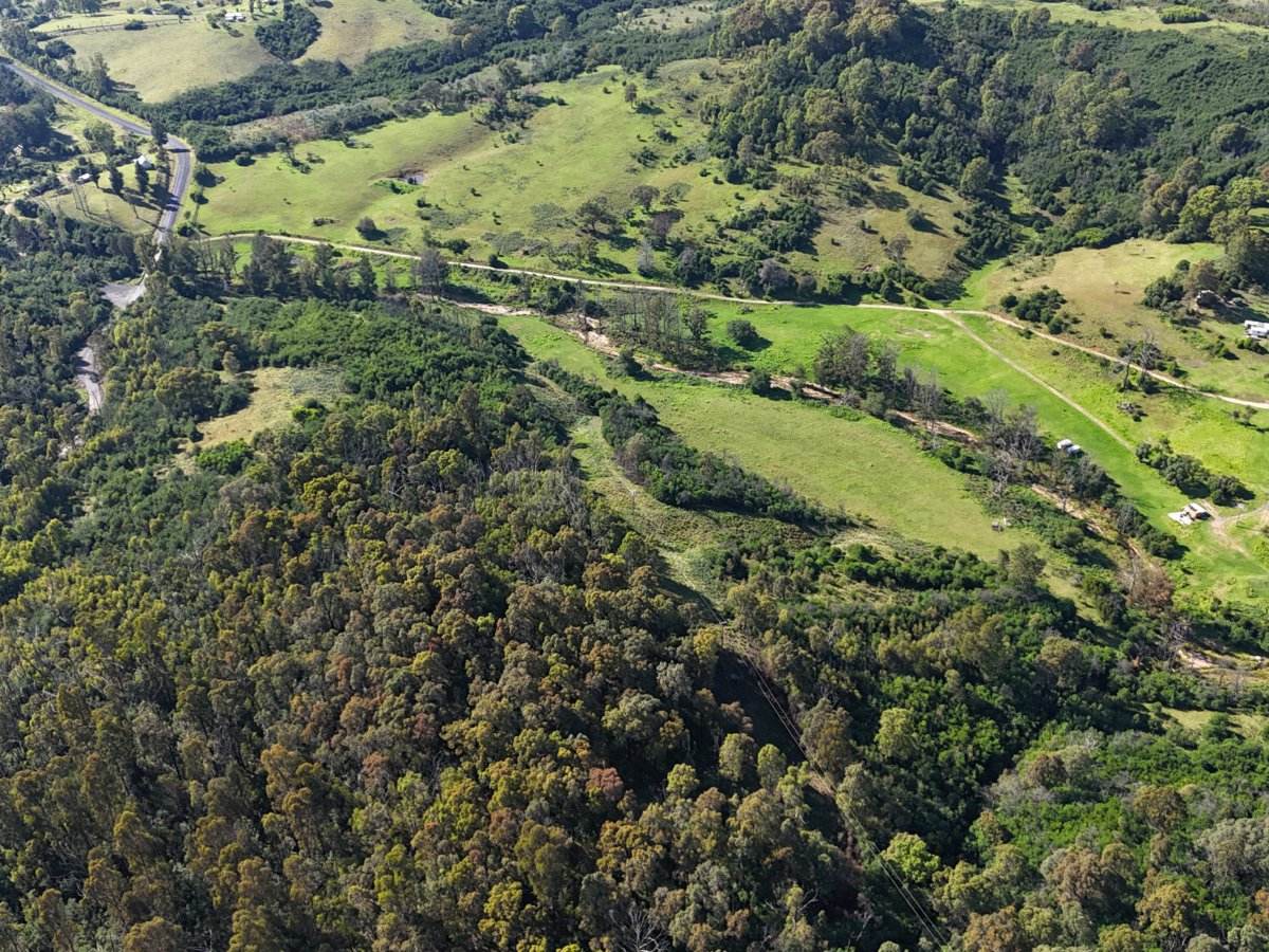 Lot 3 DP1128262 Yowrie Road, Yowrie For Sale by Farmbuy.com - image 3