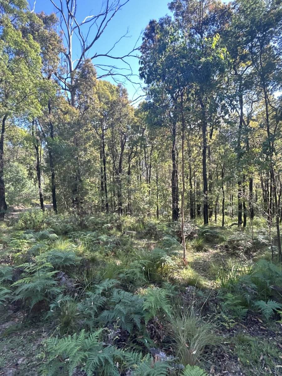 Lot 3 DP1128262 Yowrie Road, Yowrie For Sale by Farmbuy.com - image 6