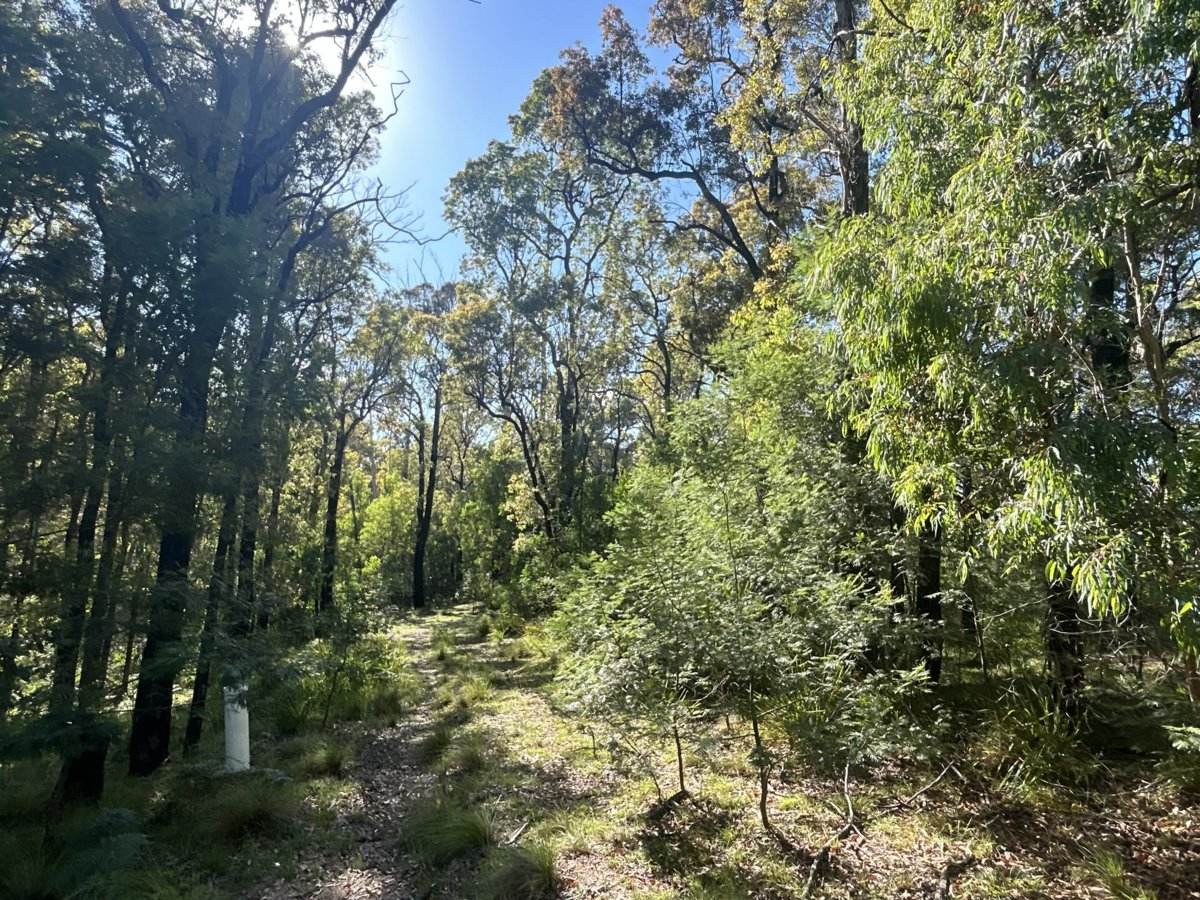 Lot 3 DP1128262 Yowrie Road, Yowrie For Sale by Farmbuy.com - image 2