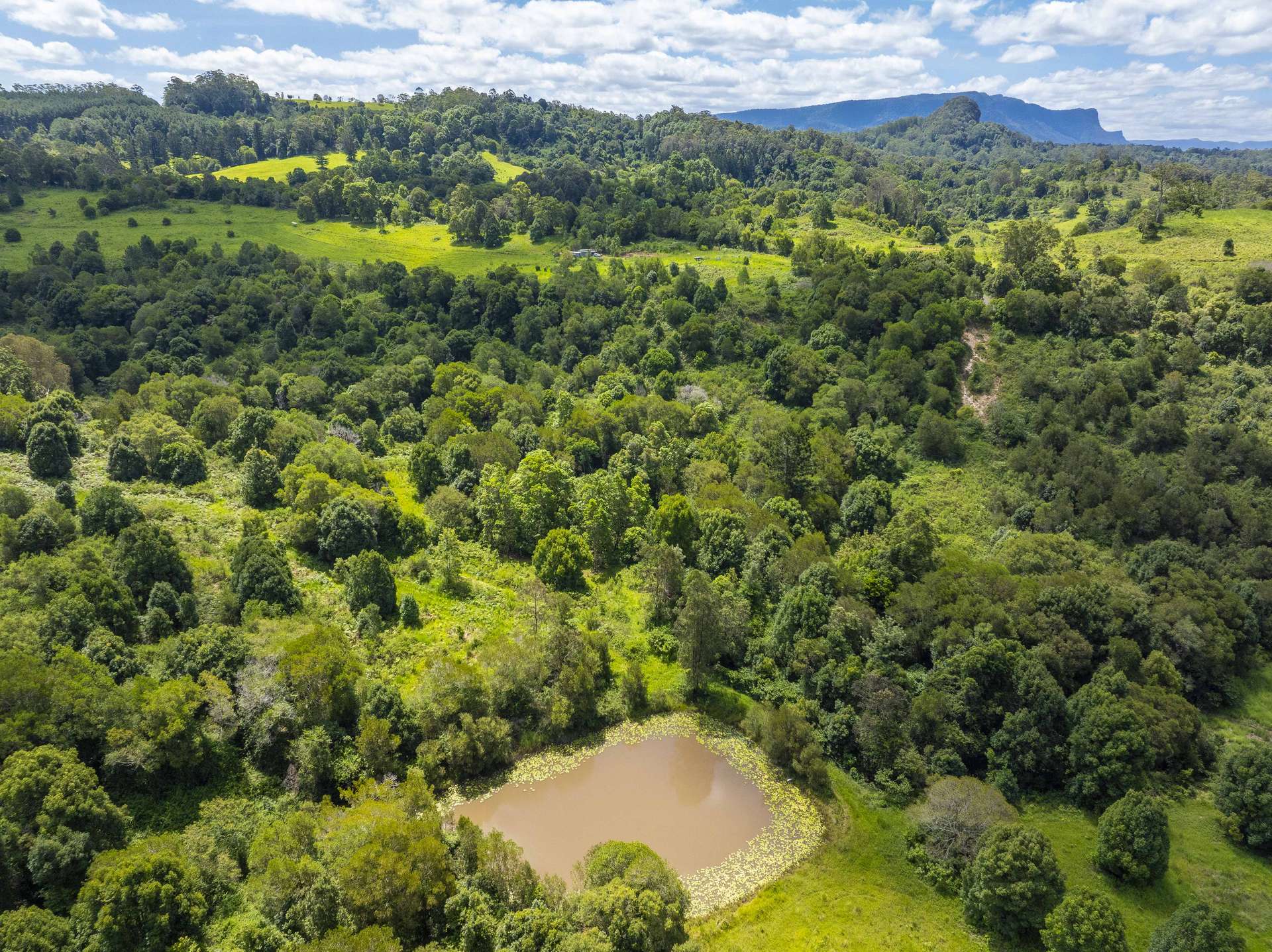 345 Blue Knob Road, Nimbin Sold by Farmbuy.com - image 33