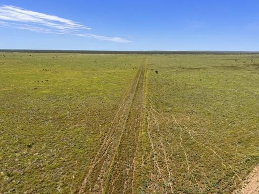 Farm Sold - NT - Creswell - 0852 - Major Barkly Tablelands Cattle Station 
