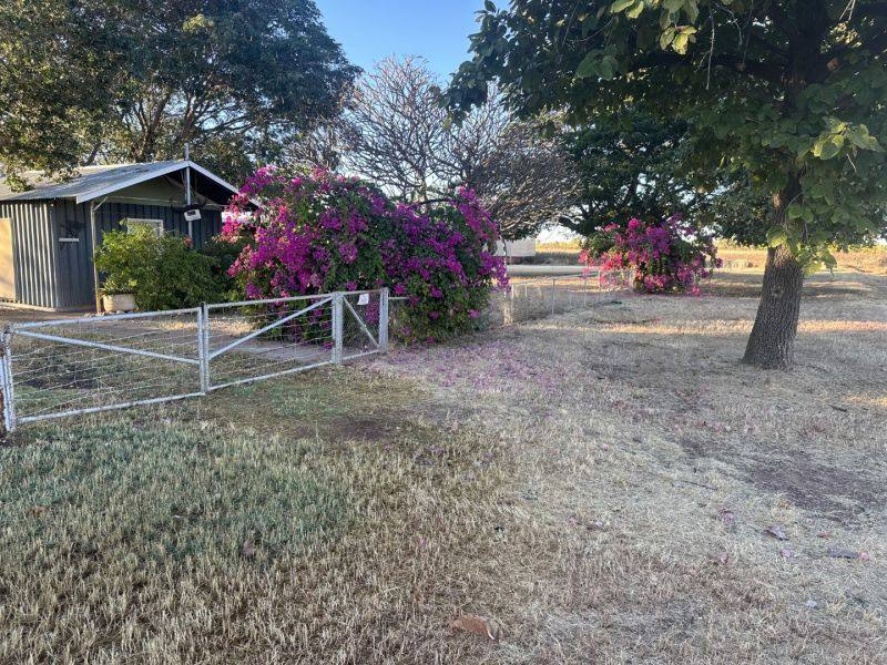 Benmara Station, Creswell Sold by Farmbuy.com - image 24