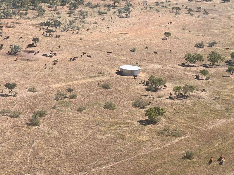 Benmara Station, Creswell Sold by Farmbuy.com - image 11