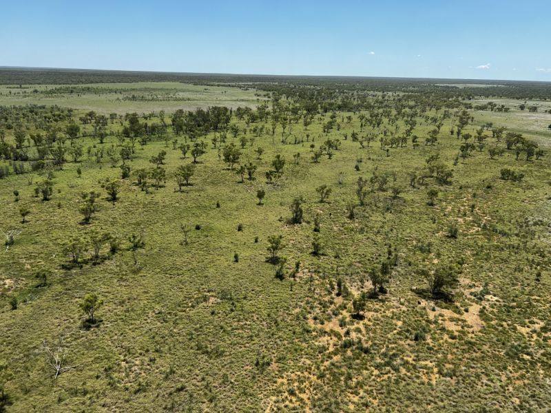 Benmara Station, Creswell Sold by Farmbuy.com - image 3