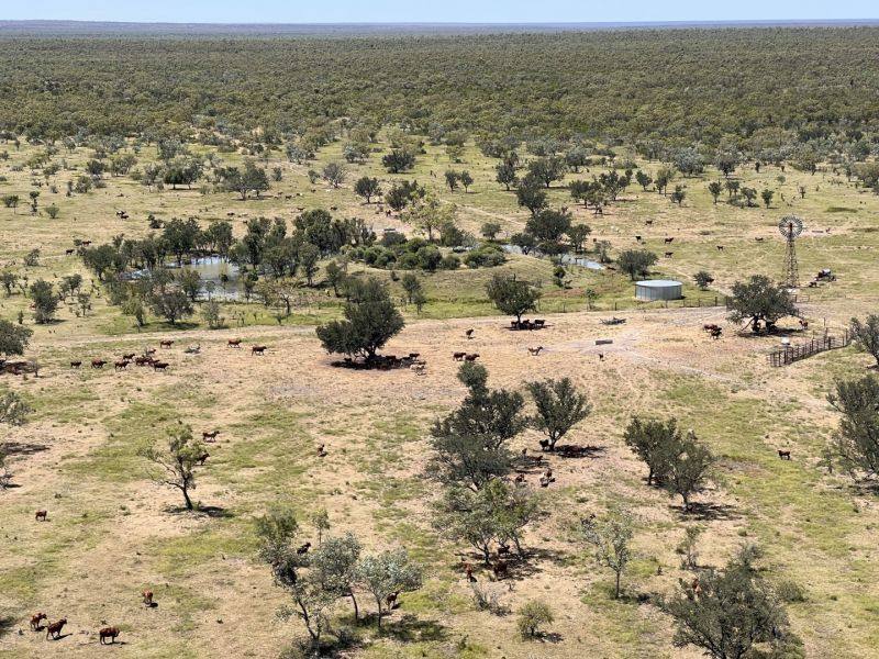 Benmara Station, Creswell Sold by Farmbuy.com - image 15