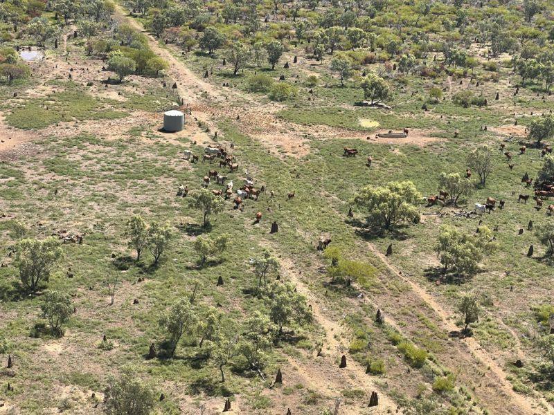 Benmara Station, Creswell Sold by Farmbuy.com - image 7