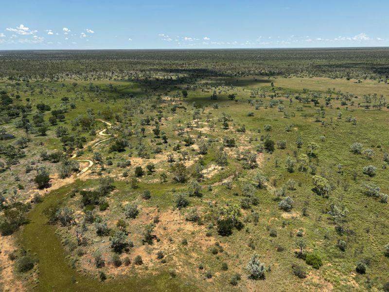 Benmara Station, Creswell Sold by Farmbuy.com - image 4