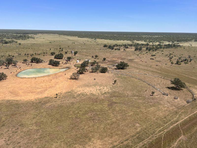 Benmara Station, Creswell Sold by Farmbuy.com - image 9