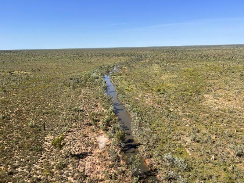 Benmara Station, Creswell Sold by Farmbuy.com - image 8