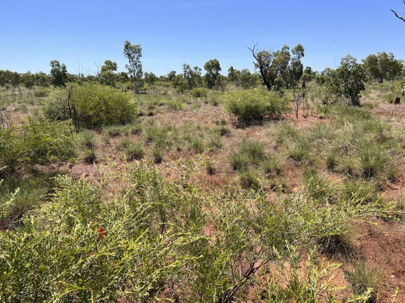 Benmara Station, Creswell Sold by Farmbuy.com - image 20