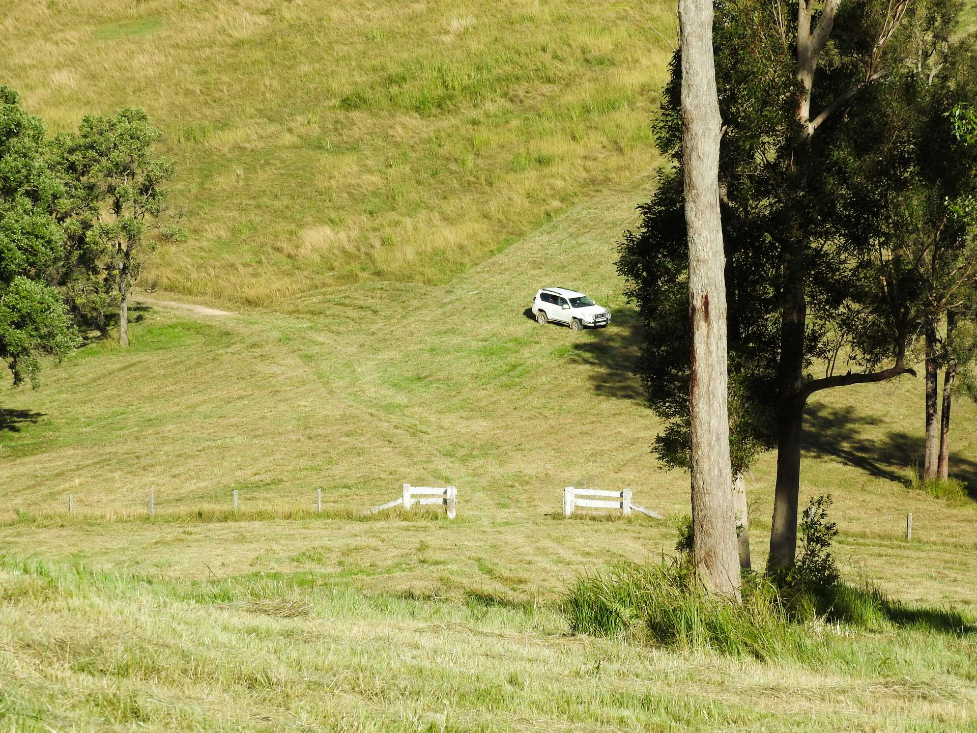 237 Norwood Lane, Mount George For Sale by Farmbuy.com - image 10