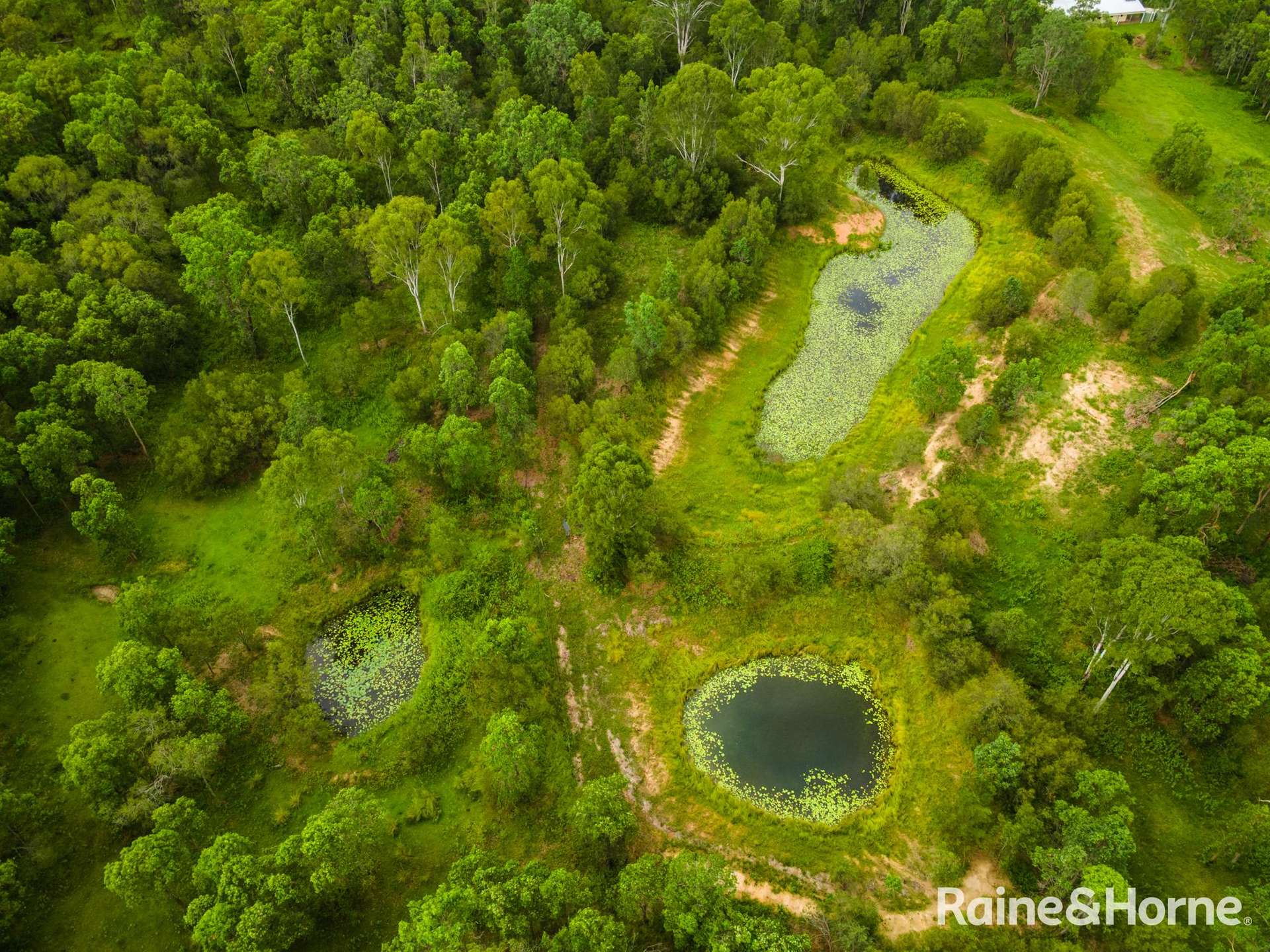 1607 Gaeta Road, Gaeta For Sale by Farmbuy.com - image 33