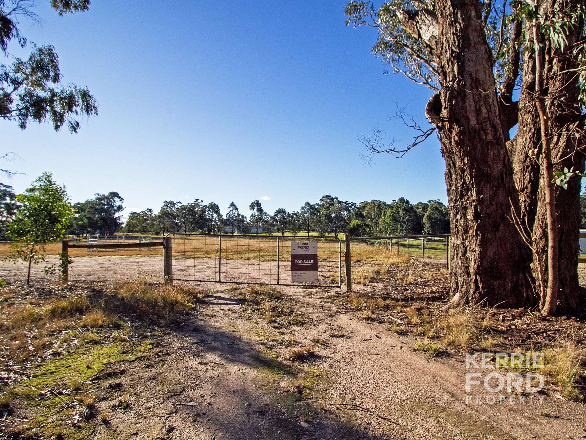 53-61 Glenmaggie Road Extension, Glenmaggie For Sale by Farmbuy.com - image 9