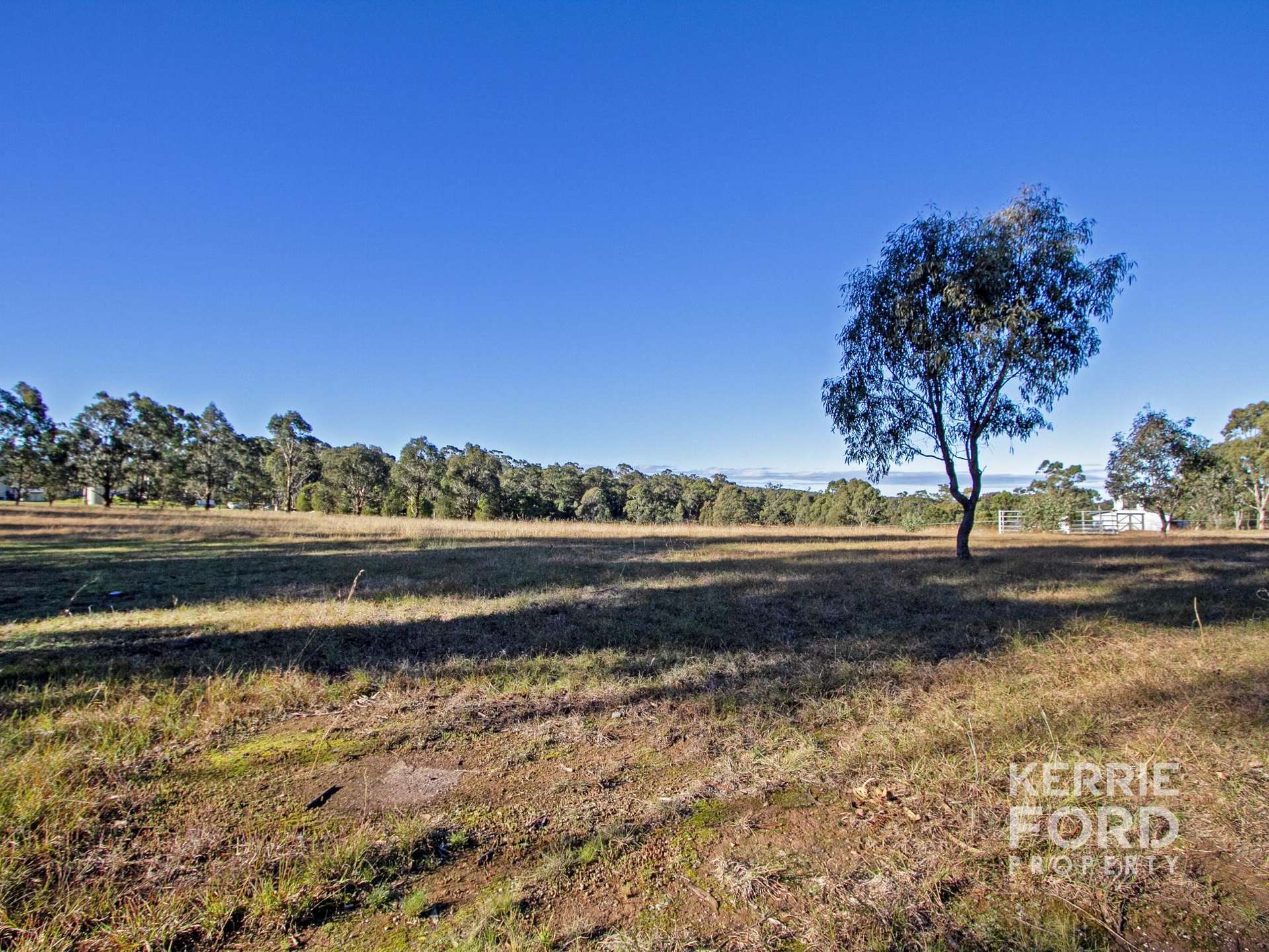 53-61 Glenmaggie Road Extension, Glenmaggie For Sale by Farmbuy.com - image 10