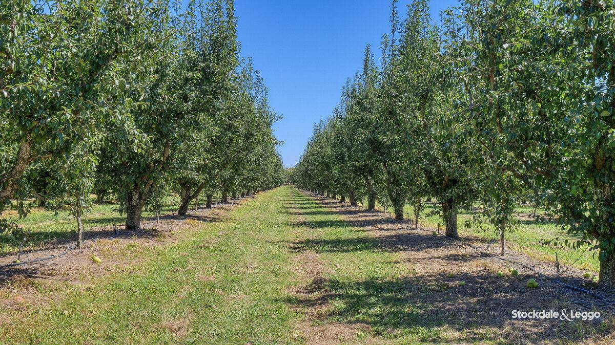 645 New Dookie Road, Lemnos For Sale by Farmbuy.com - image 19