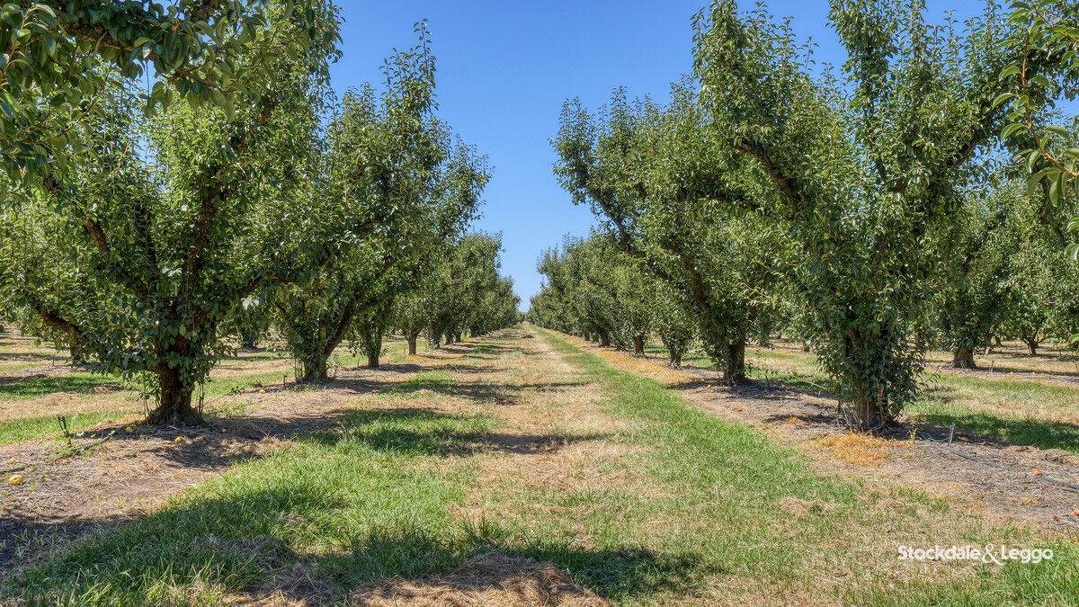 645 New Dookie Road, Lemnos For Sale by Farmbuy.com - image 23