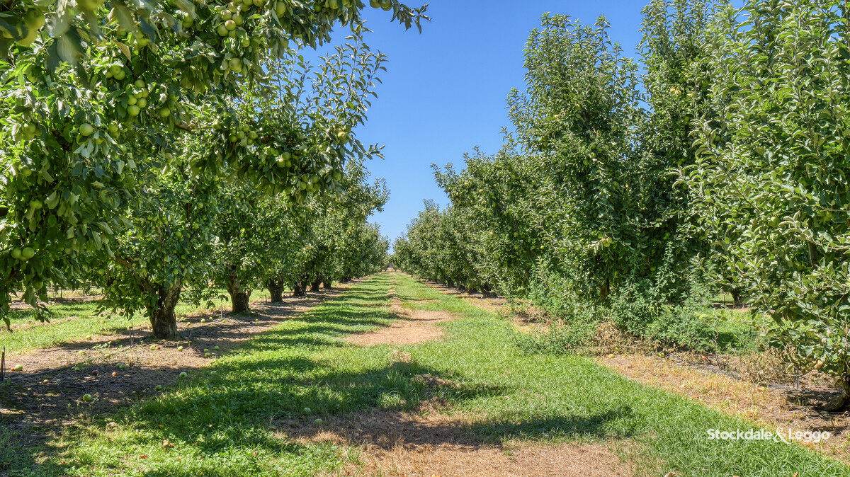 645 New Dookie Road, Lemnos For Sale by Farmbuy.com - image 24