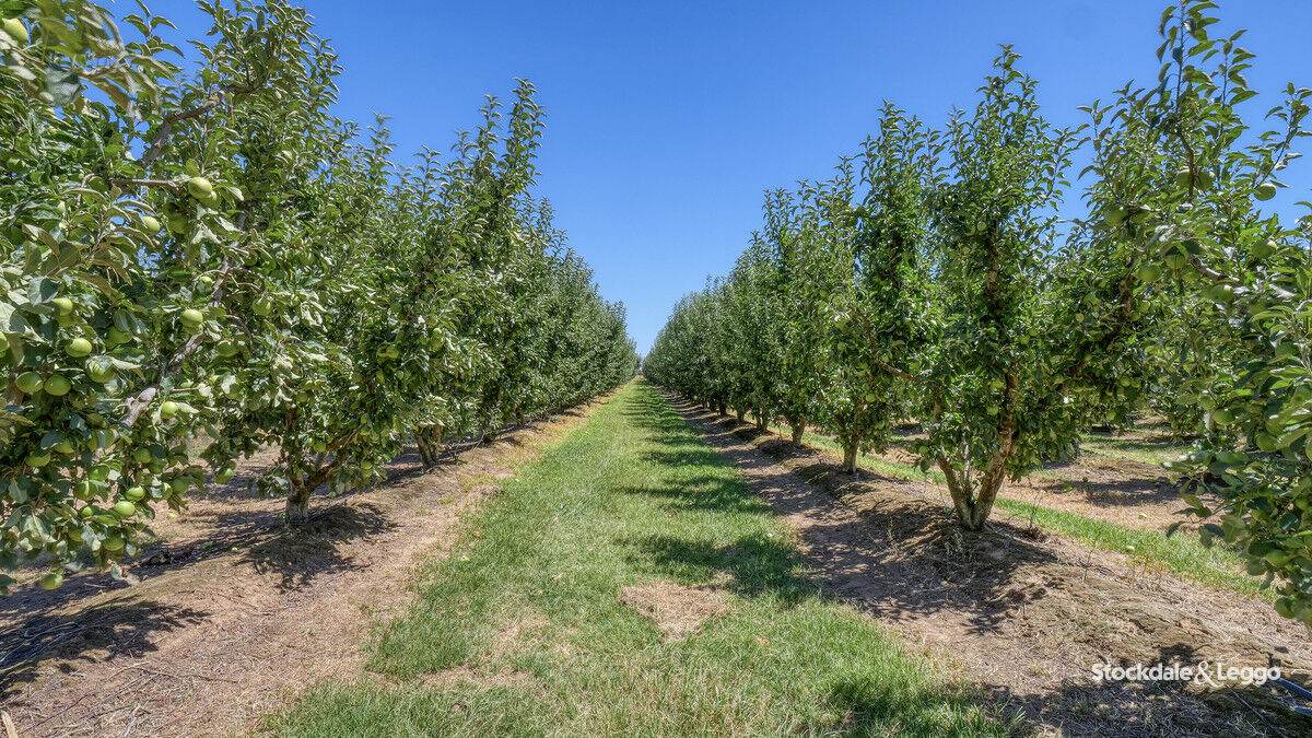 645 New Dookie Road, Lemnos For Sale by Farmbuy.com - image 18