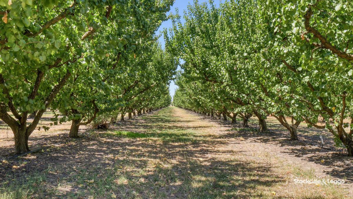 645 New Dookie Road, Lemnos For Sale by Farmbuy.com - image 22