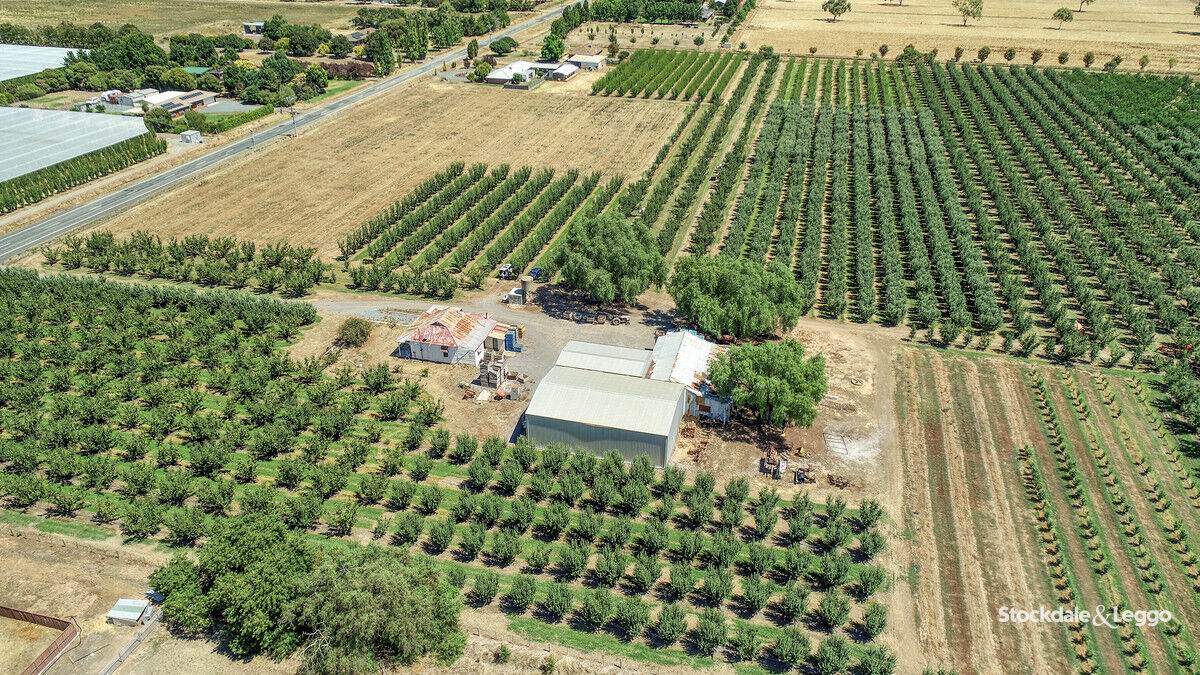 645 New Dookie Road, Lemnos For Sale by Farmbuy.com - image 7