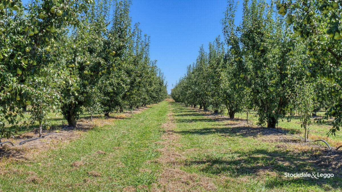 645 New Dookie Road, Lemnos For Sale by Farmbuy.com - image 20