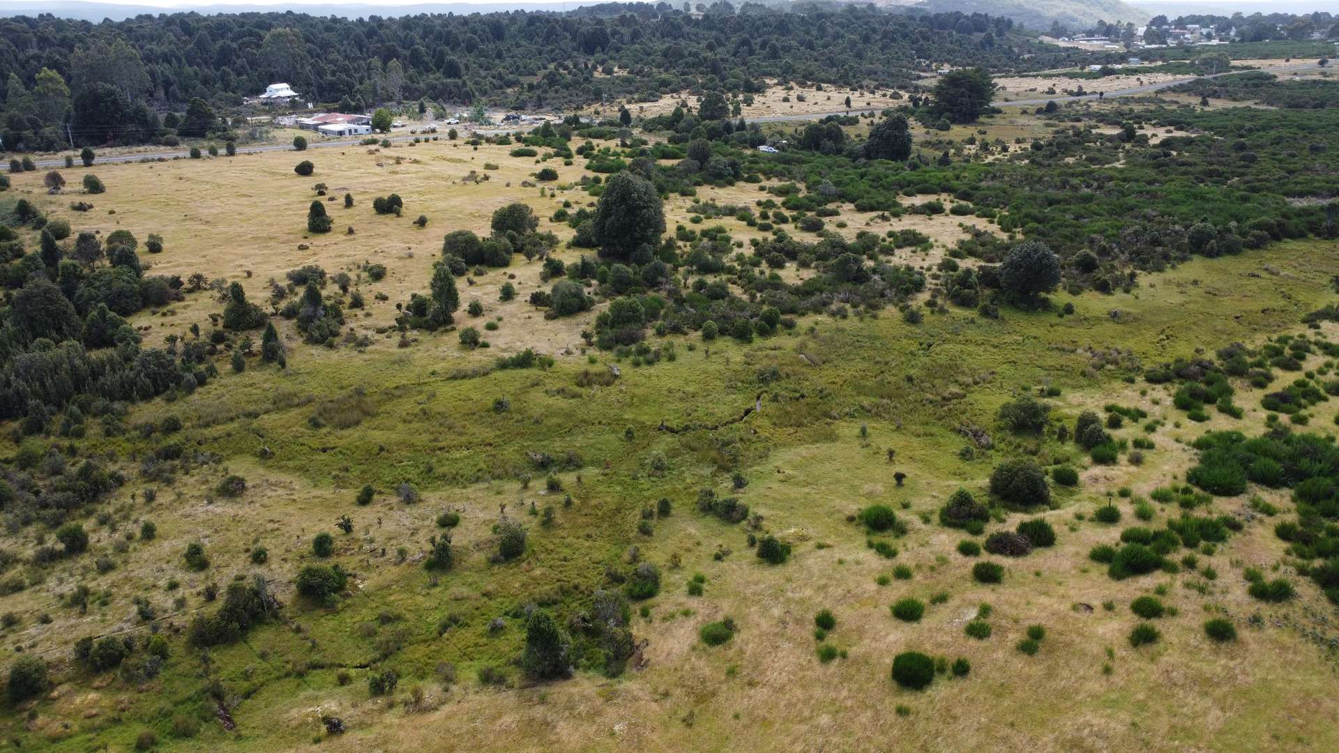 891 Waratah Road, Waratah Sold by Farmbuy.com - image 14