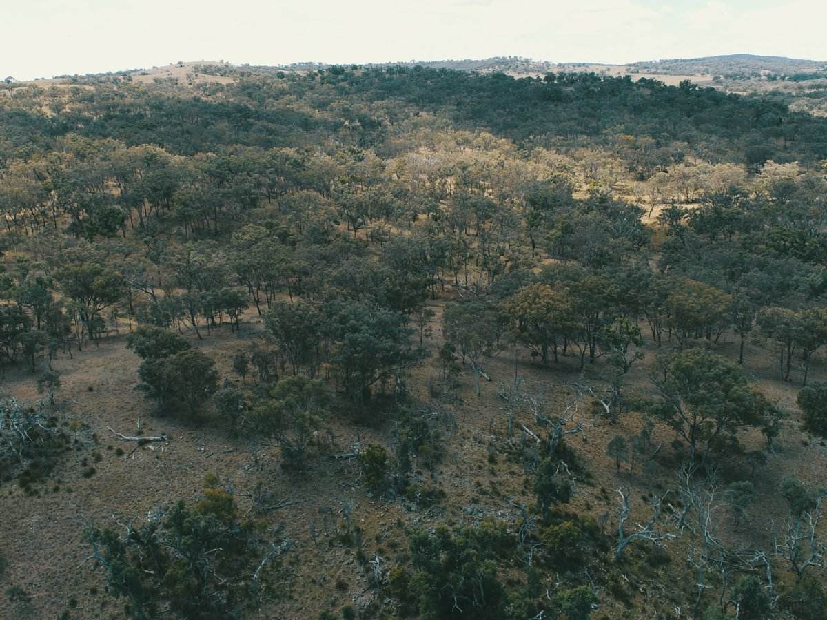 Lot 2 Stanthorpe Texas Road, Stanthorpe For Sale by Farmbuy.com - image 14