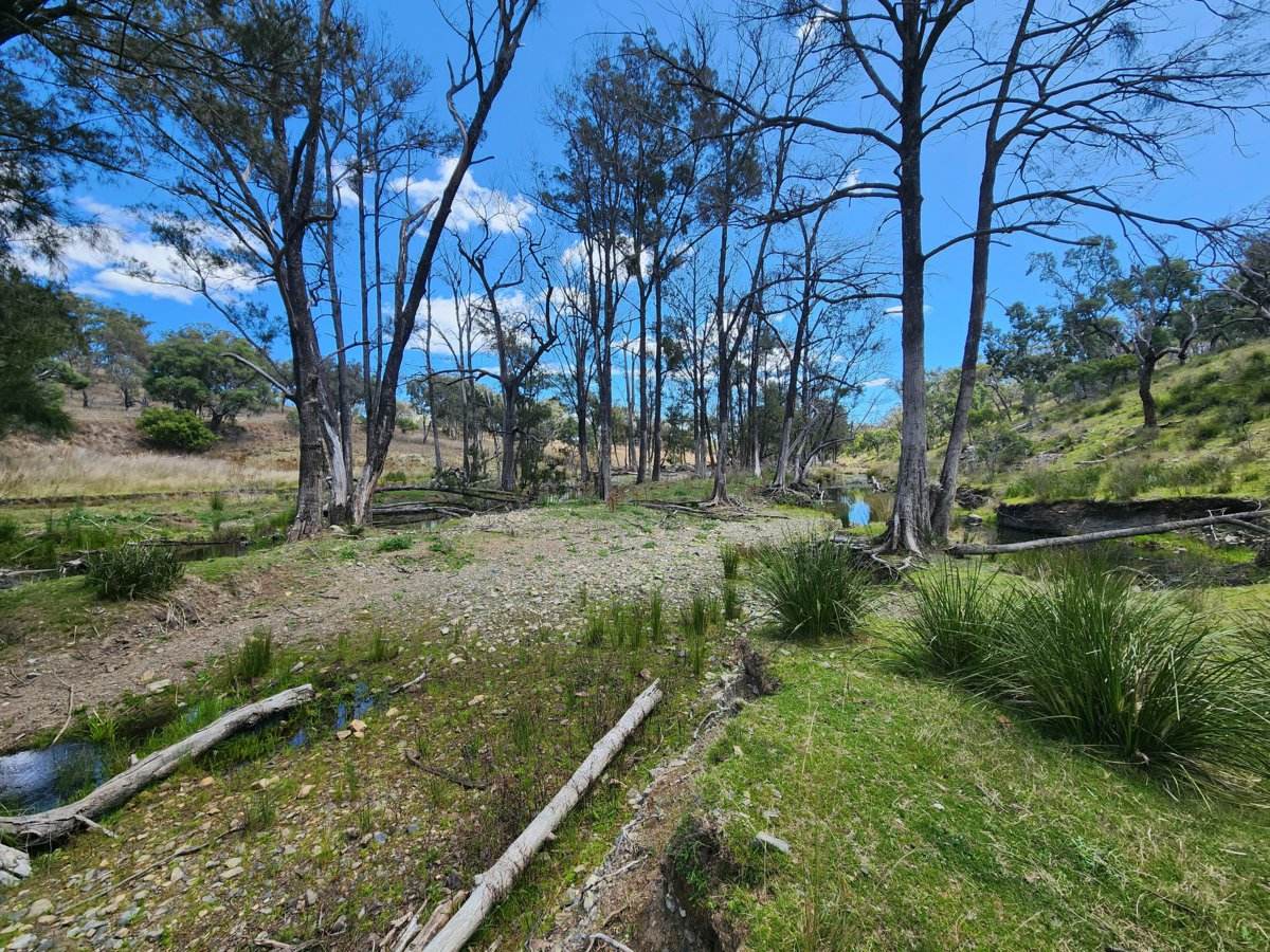 Lot 2 Stanthorpe Texas Road, Stanthorpe For Sale by Farmbuy.com - image 4