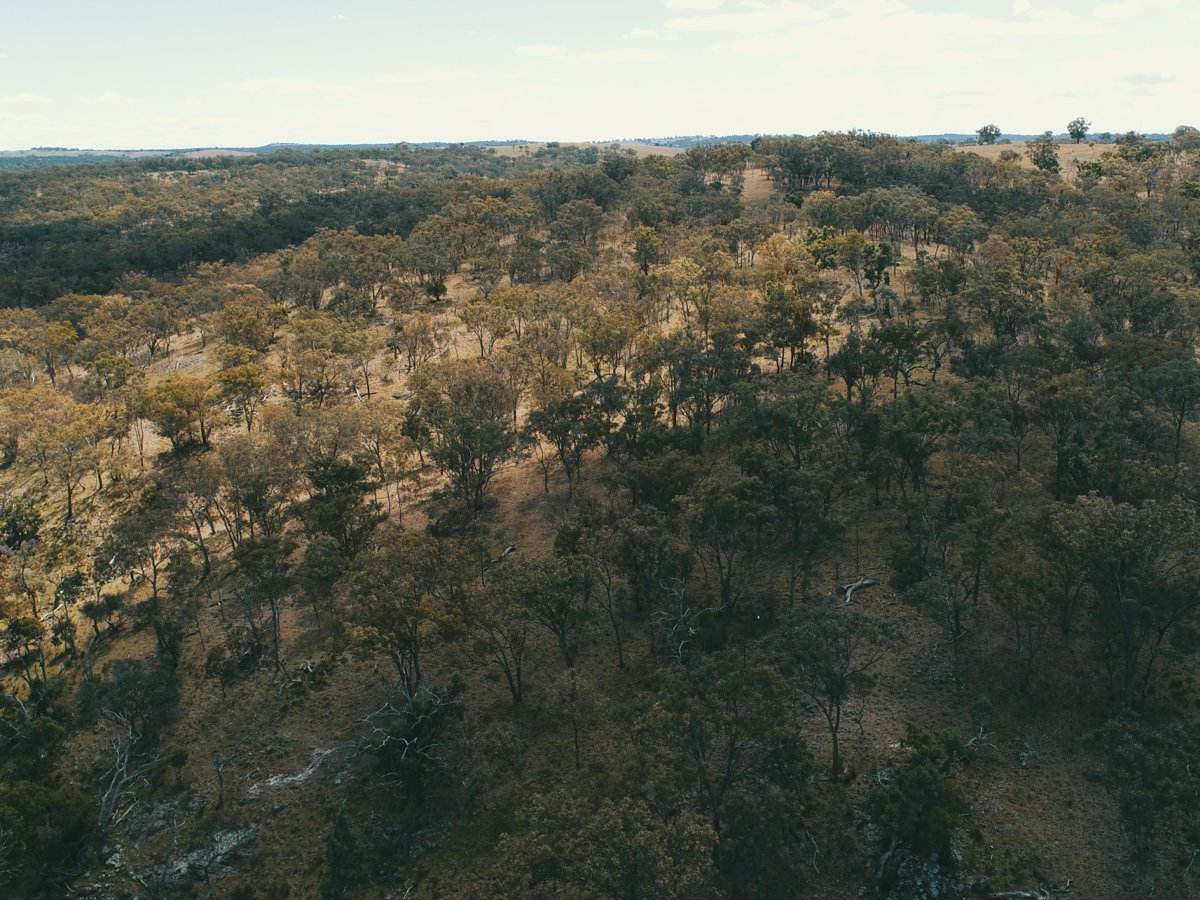 Lot 2 Stanthorpe Texas Road, Stanthorpe For Sale by Farmbuy.com - image 12