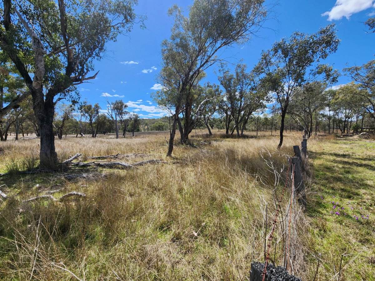 Lot 2 Stanthorpe Texas Road, Stanthorpe For Sale by Farmbuy.com - image 3
