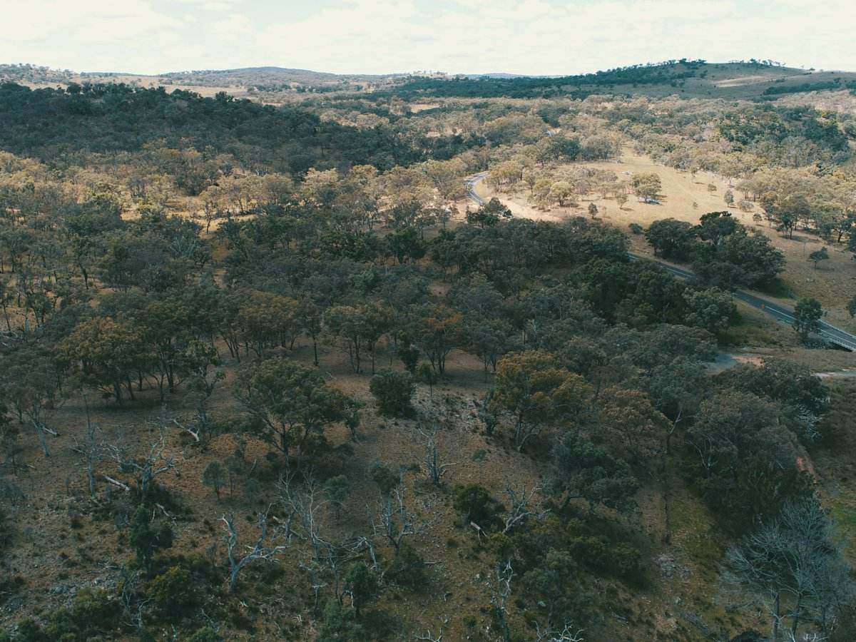Lot 2 Stanthorpe Texas Road, Stanthorpe For Sale by Farmbuy.com - image 13