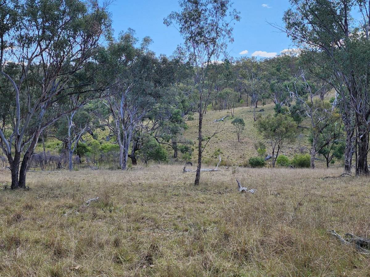Lot 2 Stanthorpe Texas Road, Stanthorpe For Sale by Farmbuy.com - image 6