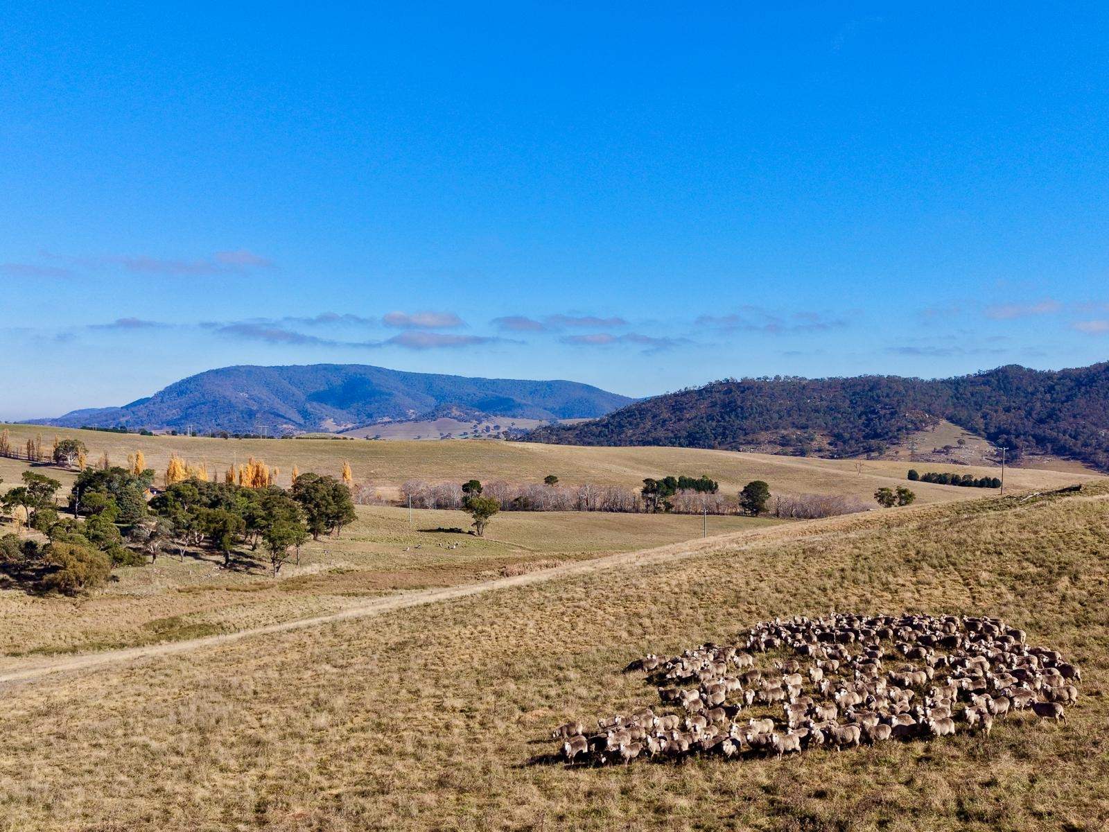 Lot 1/976 Sodwalls Road, Tarana Sold by Farmbuy.com - image 2
