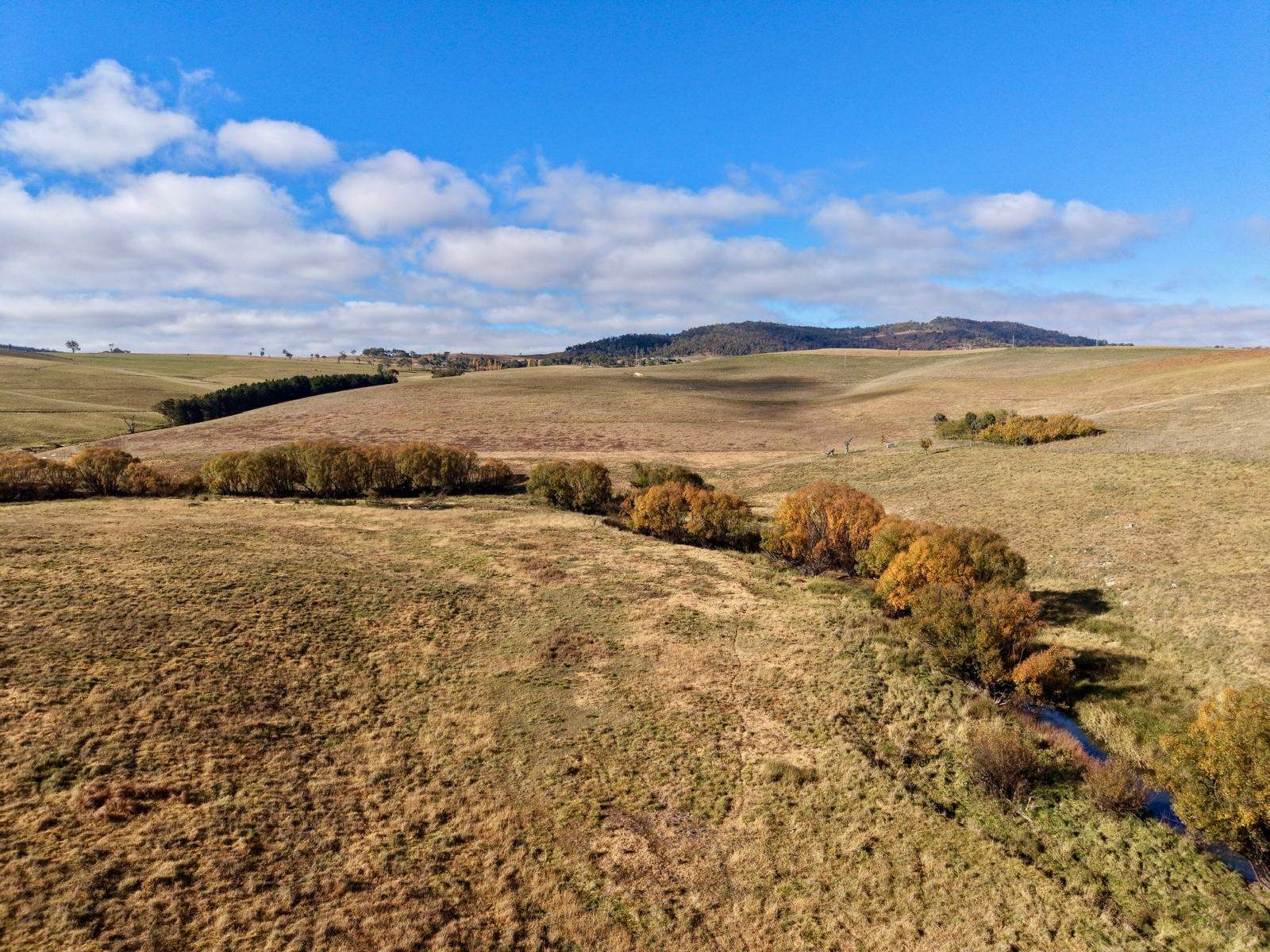 Lot 1/976 Sodwalls Road, Tarana Sold by Farmbuy.com - image 17