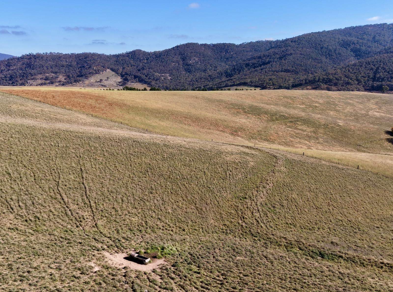 Lot 1/976 Sodwalls Road, Tarana Sold by Farmbuy.com - image 7