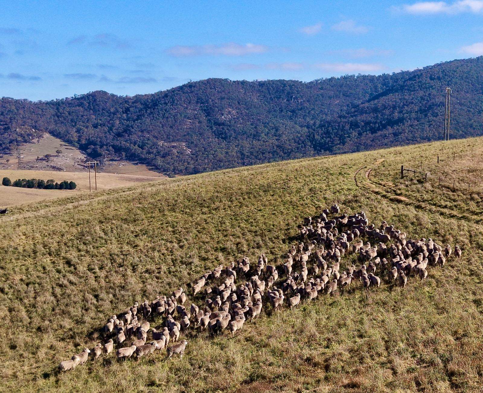 Lot 1/976 Sodwalls Road, Tarana Sold by Farmbuy.com - image 23